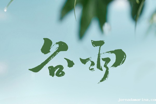 谷雨时节｜以春之尾韵，寄夏之初愿